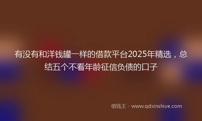 有没有和洋钱罐一样的借款平台2025年精选，总结五个不看年龄征信负债的口子