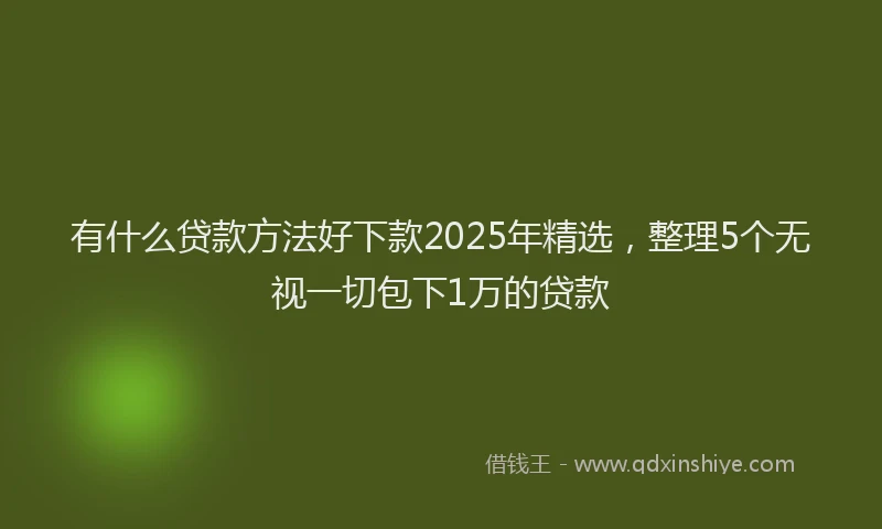 有什么贷款方法好下款2025年精选，整理5个无视一切包下1万的贷款