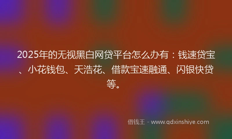 2025年的无视黑白网贷平台怎么办有：钱速贷宝、小花钱包、天浩花、借款宝速融通、闪银快贷等。
