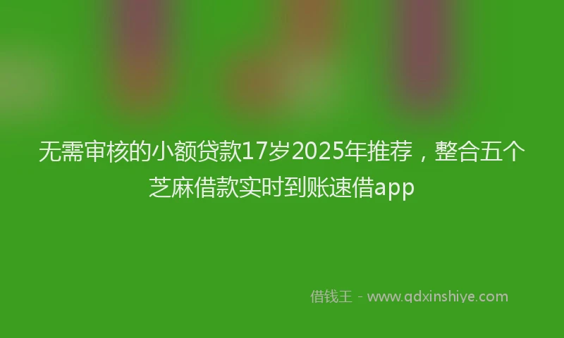 无需审核的小额贷款17岁2025年推荐，整合五个芝麻借款实时到账速借app