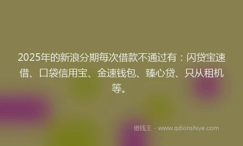 2025年的新浪分期每次借款不通过有：闪贷宝速借、口袋信用宝、金速钱包、臻心贷、只从租机等。
