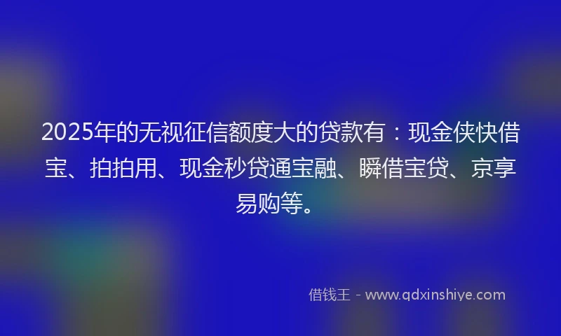 2025年的无视征信额度大的贷款有：现金侠快借宝、拍拍用、现金秒贷通宝融、瞬借宝贷、京享易购等。