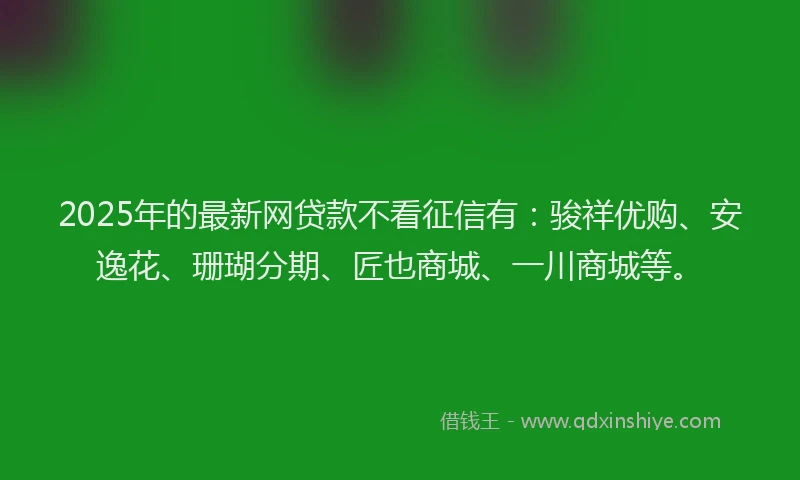 2025年的最新网贷款不看征信有：骏祥优购、安逸花、珊瑚分期、匠也商城、一川商城等。