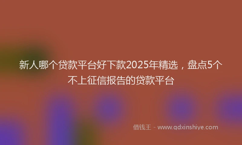 新人哪个贷款平台好下款2025年精选，盘点5个不上征信报告的贷款平台
