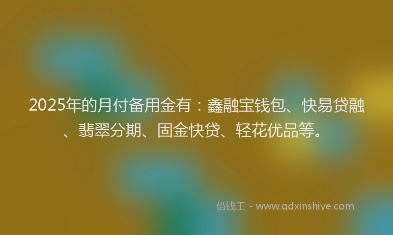 2025年的月付备用金有：鑫融宝钱包、快易贷融、翡翠分期、固金快贷、轻花优品等。