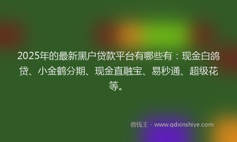 2025年的最新黑户贷款平台有哪些有：现金白鸽贷、小金鹤分期、现金直融宝、易秒通、超级花等。