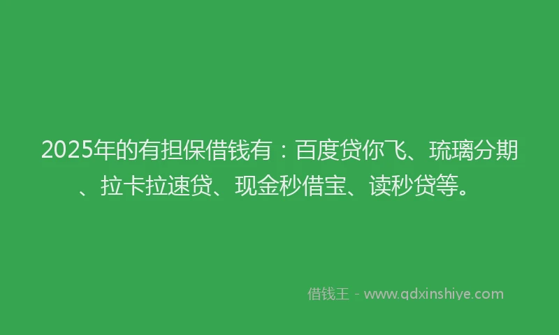 2025年的有担保借钱有：百度贷你飞、琉璃分期、拉卡拉速贷、现金秒借宝、读秒贷等。