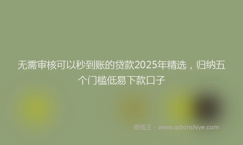 无需审核可以秒到账的贷款2025年精选，归纳五个门槛低易下款口子