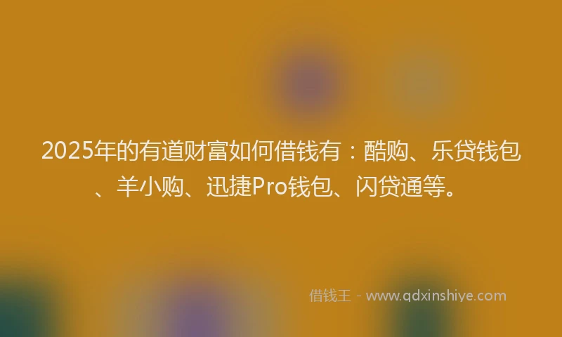 2025年的有道财富如何借钱有：酷购、乐贷钱包、羊小购、迅捷Pro钱包、闪贷通等。