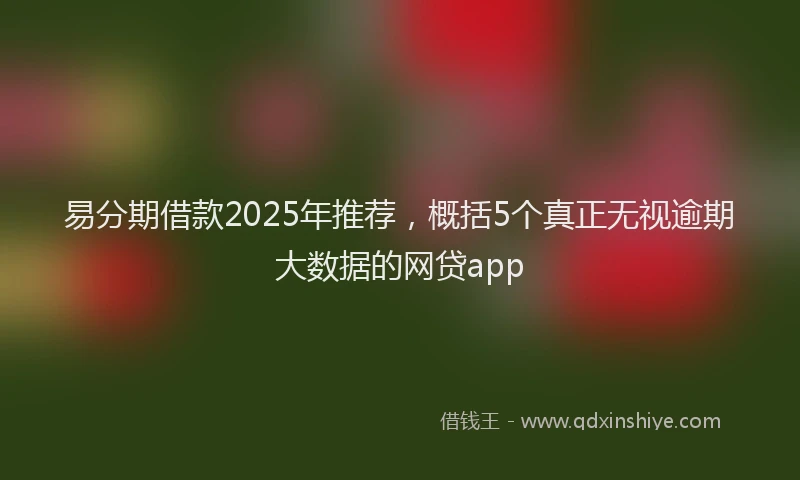 易分期借款2025年推荐，概括5个真正无视逾期大数据的网贷app
