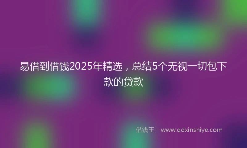 易借到借钱2025年精选，总结5个无视一切包下款的贷款