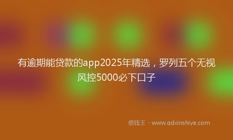 有逾期能贷款的app2025年精选，罗列五个无视风控5000必下口子