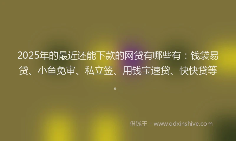 2025年的最近还能下款的网贷有哪些有：钱袋易贷、小鱼免审、私立签、用钱宝速贷、快快贷等。