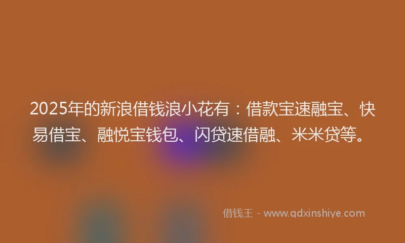 2025年的新浪借钱浪小花有：借款宝速融宝、快易借宝、融悦宝钱包、闪贷速借融、米米贷等。