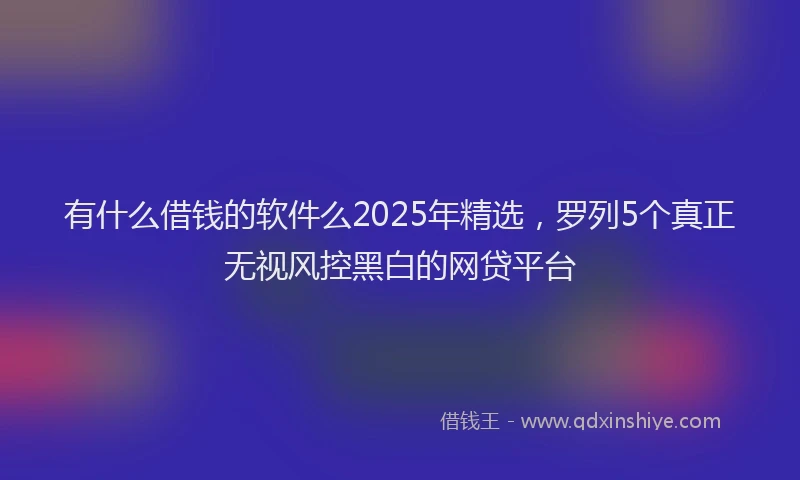 有什么借钱的软件么2025年精选，罗列5个真正无视风控黑白的网贷平台