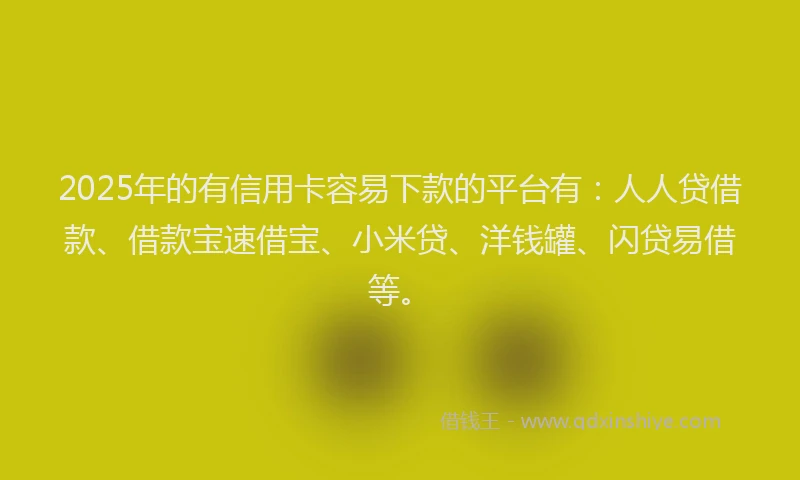 2025年的有信用卡容易下款的平台有：人人贷借款、借款宝速借宝、小米贷、洋钱罐、闪贷易借等。