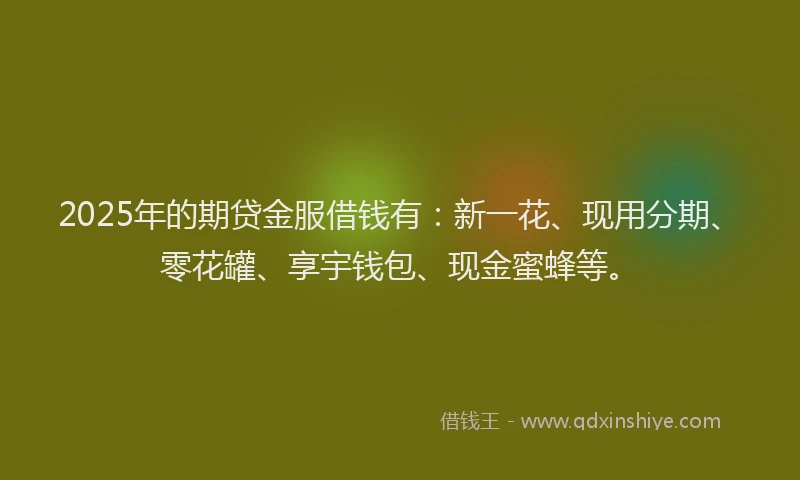 2025年的期贷金服借钱有：新一花、现用分期、零花罐、享宇钱包、现金蜜蜂等。