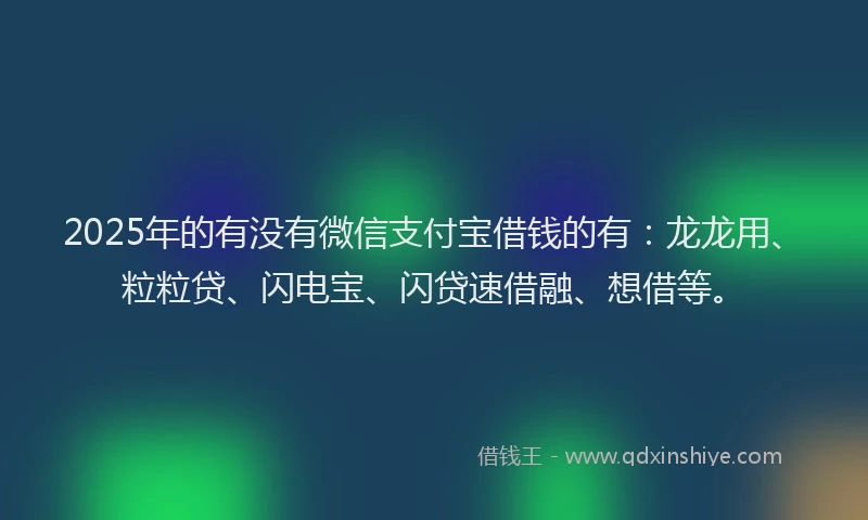 2025年的有没有微信支付宝借钱的有：龙龙用、粒粒贷、闪电宝、闪贷速借融、想借等。