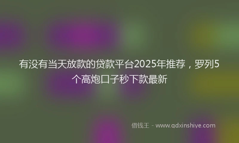 有没有当天放款的贷款平台2025年推荐，罗列5个高炮口子秒下款最新