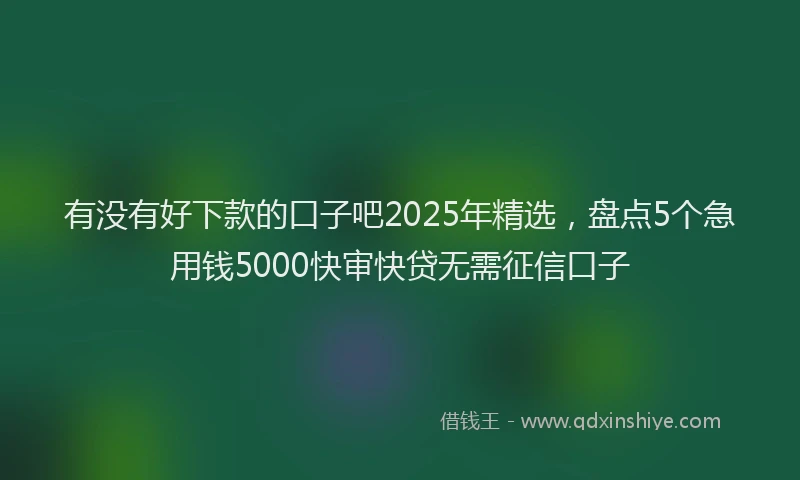 有没有好下款的口子吧2025年精选，盘点5个急用钱5000快审快贷无需征信口子