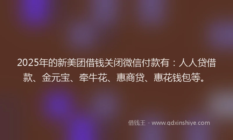 2025年的新美团借钱关闭微信付款有：人人贷借款、金元宝、牵牛花、惠商贷、惠花钱包等。