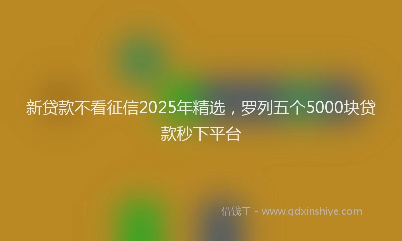 新贷款不看征信2025年精选，罗列五个5000块贷款秒下平台