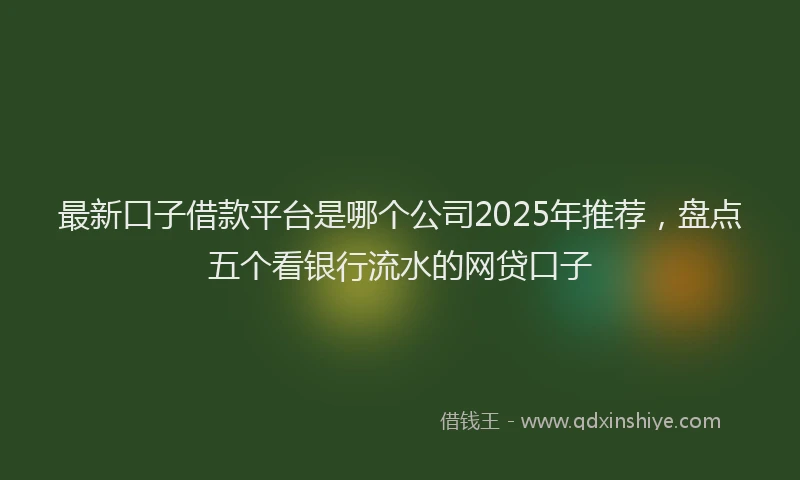 最新口子借款平台是哪个公司2025年推荐，盘点五个看银行流水的网贷口子