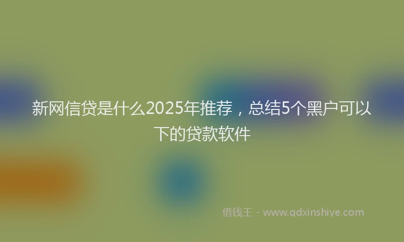 新网信贷是什么2025年推荐，总结5个黑户可以下的贷款软件