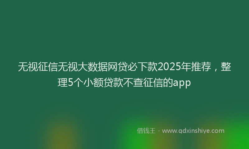 无视征信无视大数据网贷必下款2025年推荐，整理5个小额贷款不查征信的app