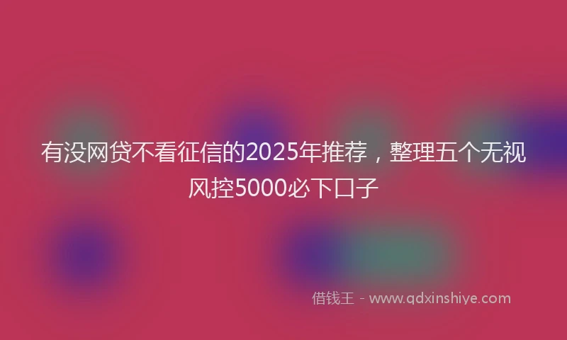 有没网贷不看征信的2025年推荐，整理五个无视风控5000必下口子