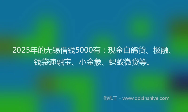 2025年的无锡借钱5000有：现金白鸽贷、极融、钱袋速融宝、小金象、蚂蚁微贷等。