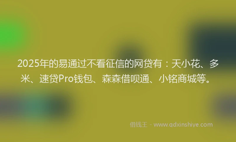 2025年的易通过不看征信的网贷有：天小花、多米、速贷Pro钱包、森森借呗通、小铭商城等。