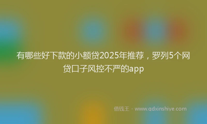 有哪些好下款的小额贷2025年推荐，罗列5个网贷口子风控不严的app