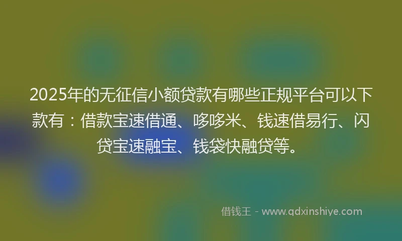 2025年的无征信小额贷款有哪些正规平台可以下款有：借款宝速借通、哆哆米、钱速借易行、闪贷宝速融宝、钱袋快融贷等。