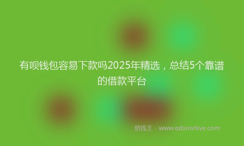 有呗钱包容易下款吗2025年精选，总结5个靠谱的借款平台