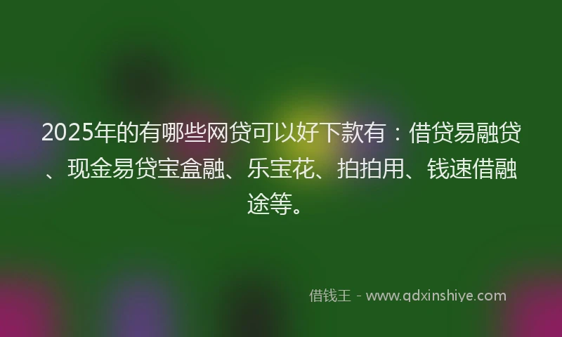 2025年的有哪些网贷可以好下款有：借贷易融贷、现金易贷宝盒融、乐宝花、拍拍用、钱速借融途等。