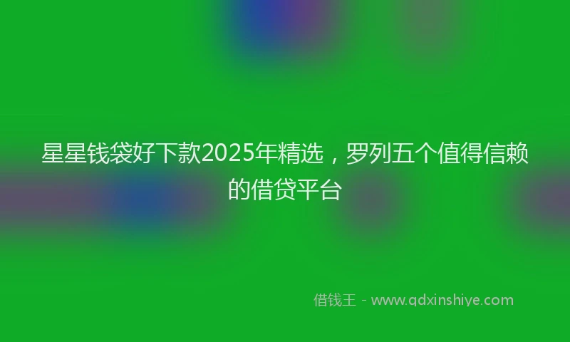 星星钱袋好下款2025年精选，罗列五个值得信赖的借贷平台