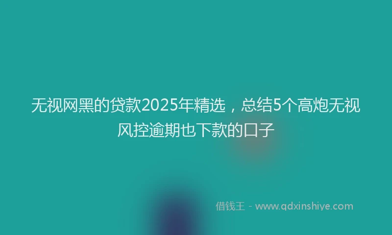 无视网黑的贷款2025年精选，总结5个高炮无视风控逾期也下款的口子