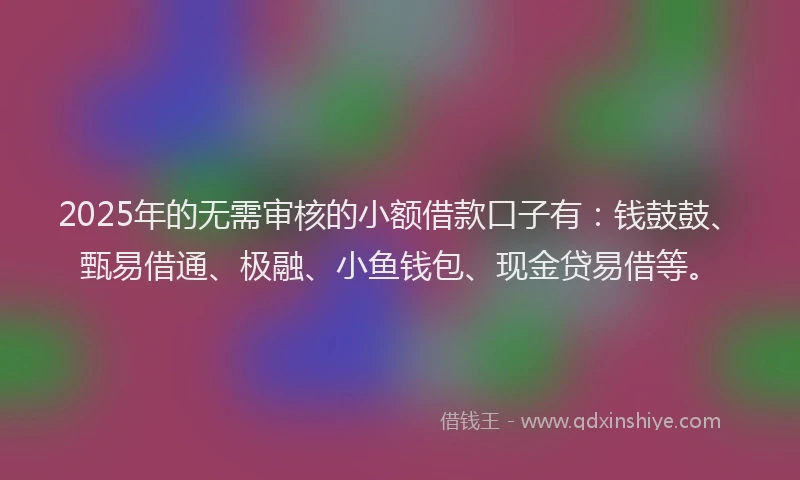 2025年的无需审核的小额借款口子有：钱鼓鼓、甄易借通、极融、小鱼钱包、现金贷易借等。