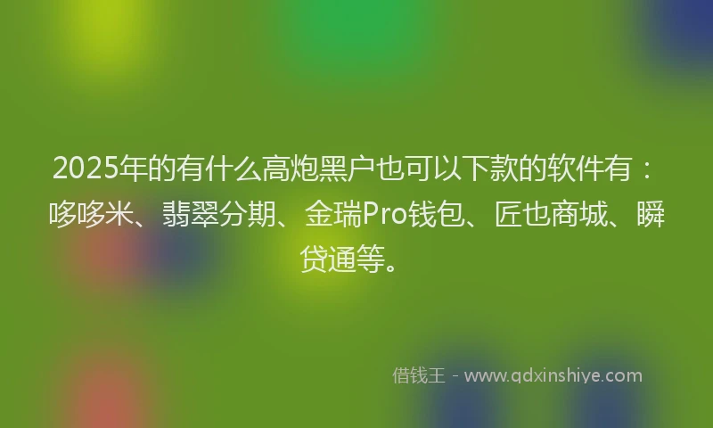 2025年的有什么高炮黑户也可以下款的软件有：哆哆米、翡翠分期、金瑞Pro钱包、匠也商城、瞬贷通等。