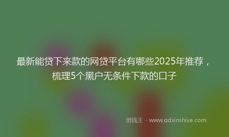 最新能贷下来款的网贷平台有哪些2025年推荐，梳理5个黑户无条件下款的口子