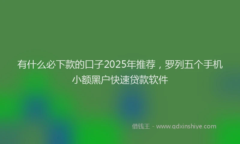 有什么必下款的口子2025年推荐，罗列五个手机小额黑户快速贷款软件