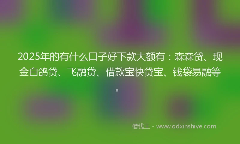 2025年的有什么口子好下款大额有：森森贷、现金白鸽贷、飞融贷、借款宝快贷宝、钱袋易融等。