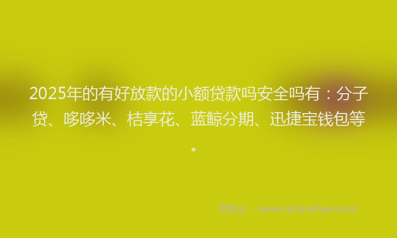 2025年的有好放款的小额贷款吗安全吗有：分子贷、哆哆米、桔享花、蓝鲸分期、迅捷宝钱包等。