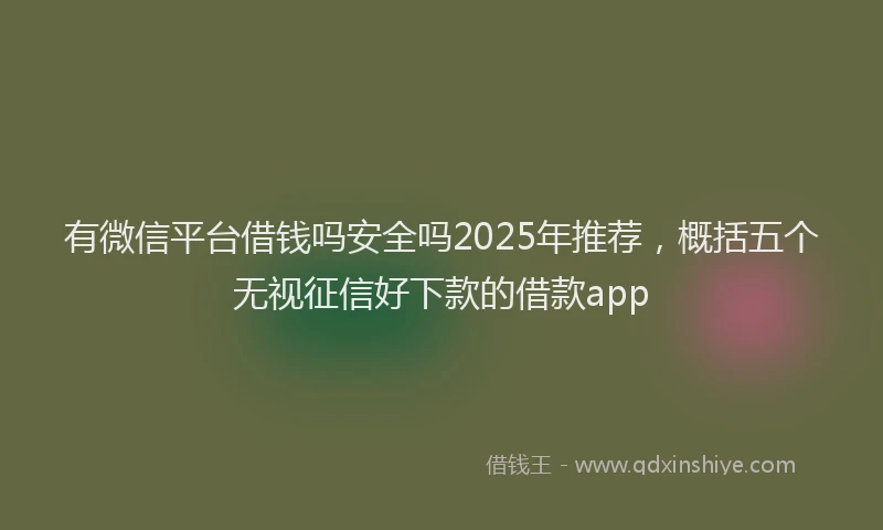 有微信平台借钱吗安全吗2025年推荐，概括五个无视征信好下款的借款app