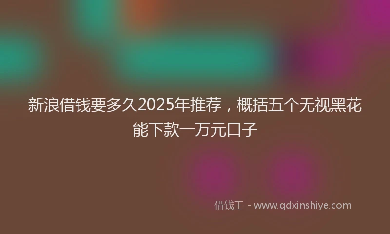 新浪借钱要多久2025年推荐，概括五个无视黑花能下款一万元口子