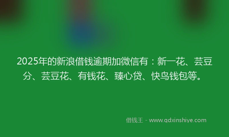 2025年的新浪借钱逾期加微信有：新一花、芸豆分、芸豆花、有钱花、臻心贷、快鸟钱包等。