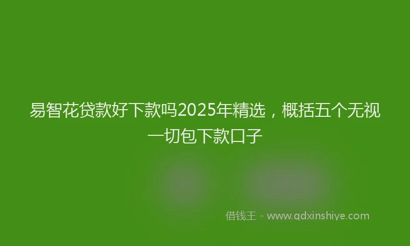 易智花贷款好下款吗2025年精选，概括五个无视一切包下款口子