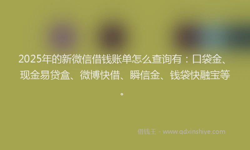 2025年的新微信借钱账单怎么查询有：口袋金、现金易贷盒、微博快借、瞬信金、钱袋快融宝等。