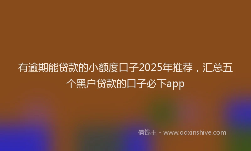 有逾期能贷款的小额度口子2025年推荐，汇总五个黑户贷款的口子必下app